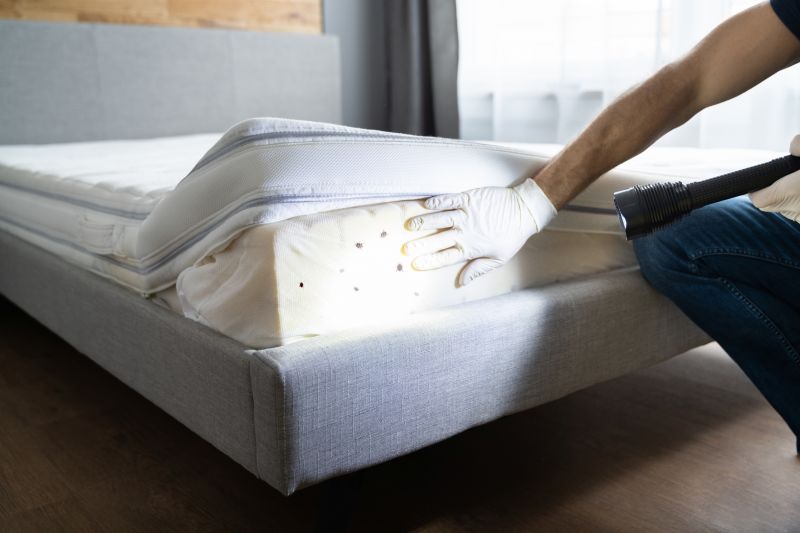 Bed Bug Fumigation