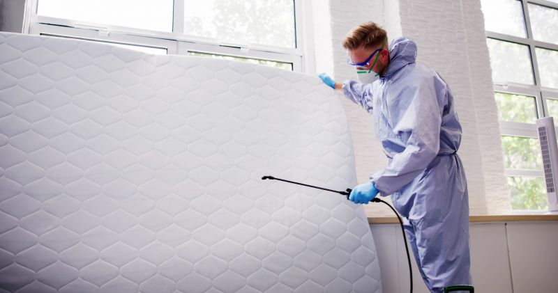 Bed Bug Fumigation