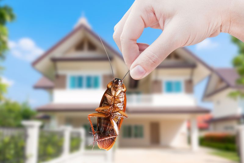 Bug Extermination Service