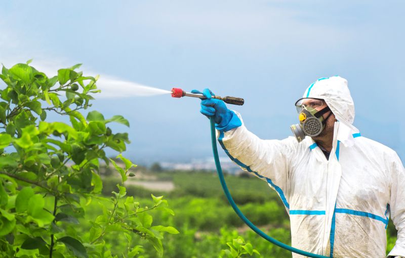 Pest Fumigation Service in Fayetteville, NC