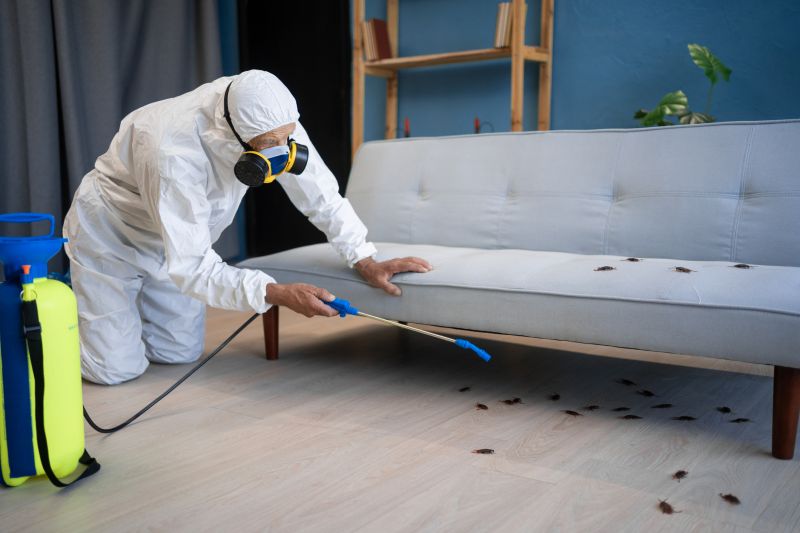 Roach Extermination