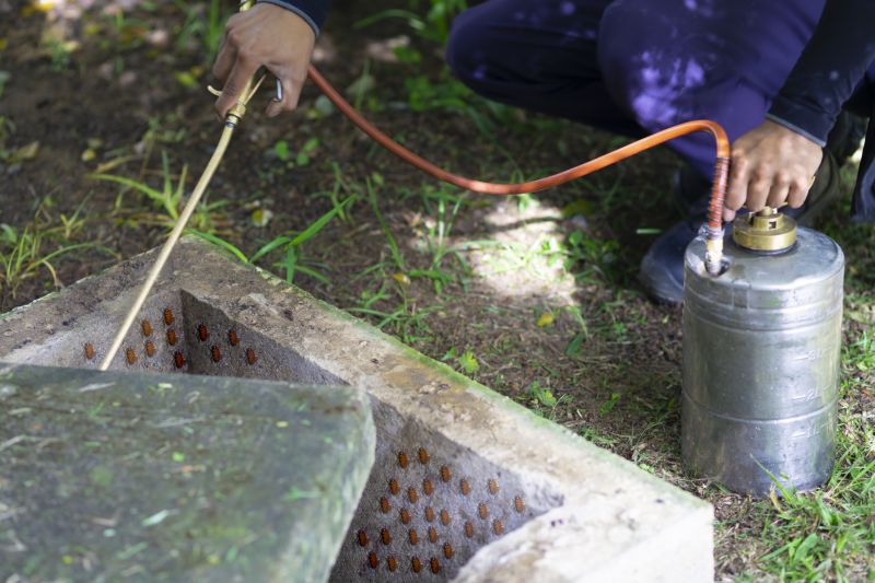 Roach Fumigation in Oklahoma City, OK