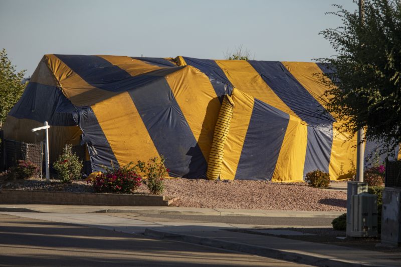 Termite Fumigation