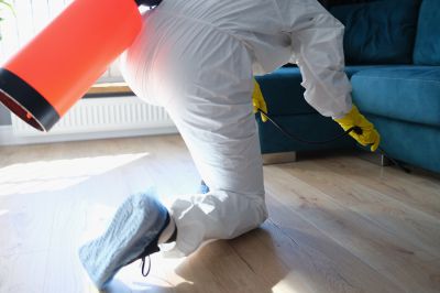 Commercial Fumigation in Wilmington, DE