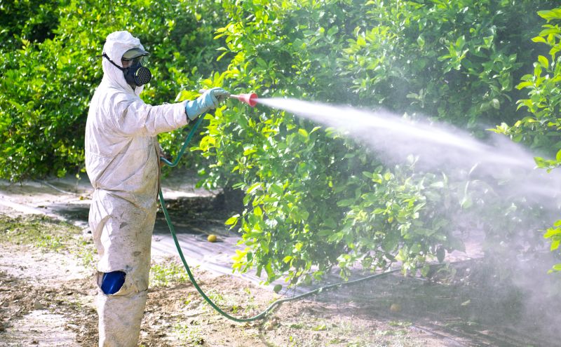 Roach Fumigation in Marietta, GA
