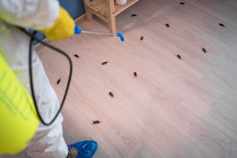 Roach Removal